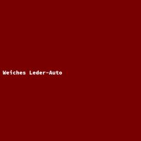 Weiches Leder-Auto