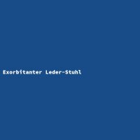 Exorbitanter Leder-Stuhl